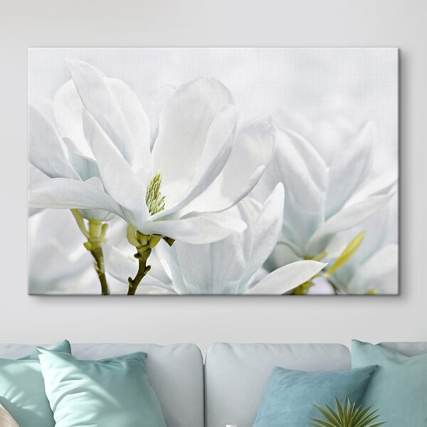 Witte magnolia bloeit in de lente Canvas Schilderijen Witte magnolia bloeit in de lente