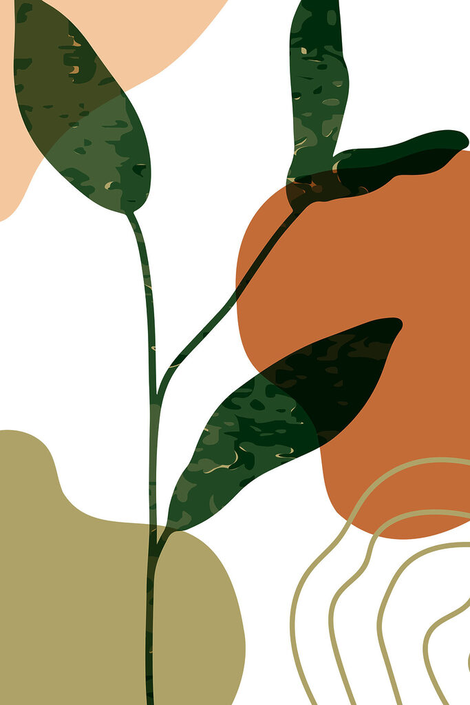 Afbeelding #1 van Dumitru M.