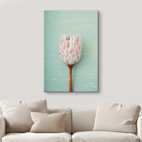 Protea bloem tegen blauwe achtergrond Canvas Schilderijen Protea bloem tegen blauwe achtergrond