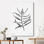Canvas Schilderijen Zwart-wit tekening van een plant