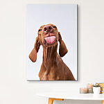 Canvas Schilderijen Speelse pup steekt tong uit.