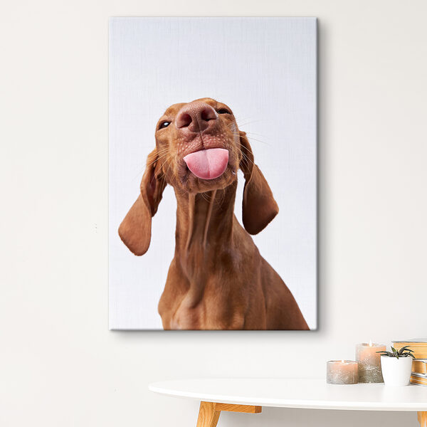 Speelse pup steekt tong uit Canvas Schilderijen Speelse pup steekt tong uit