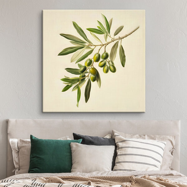 Olijftak met weelderige groene olijven Canvas Schilderijen Olijftak met weelderige groene olijven