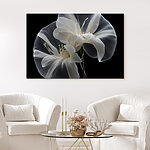 Canvas Schilderijen Elegant wit tegen donker dia