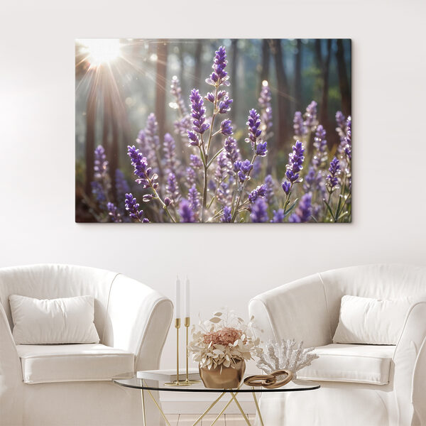 Zonlicht baadt lavendel in bos Canvas Schilderijen Zonlicht baadt lavendel in bos