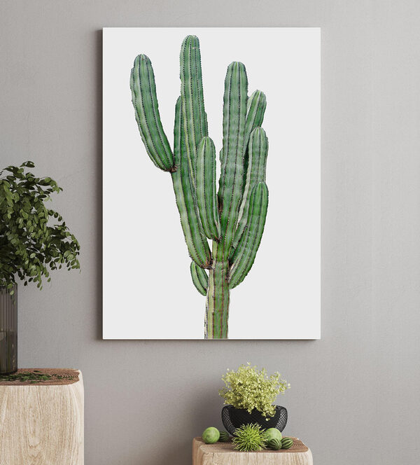 Cactus met lange dunne groene stengels Canvas Schilderijen Cactus met lange dunne groene stengels