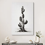 Canvas Schilderijen Cactus met een witte achtergrond