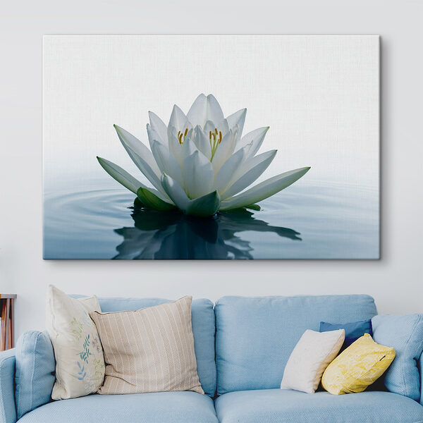 Witte bloem in water Canvas Schilderijen Witte bloem in water