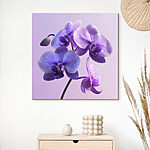 Canvas Schilderijen Paarse en witte orchidee bloem