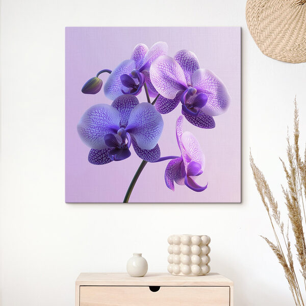 Paarse en witte orchidee bloem Canvas Schilderijen Paarse en witte orchidee bloem
