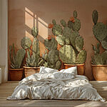 Fotobehang Groep cactussen in potten