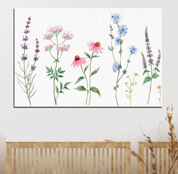 Groep bloemen op witte achtergrond Canvas Schilderijen Groep bloemen op witte achtergrond