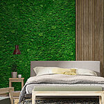 Fotobehang Houten plank op een groene muur