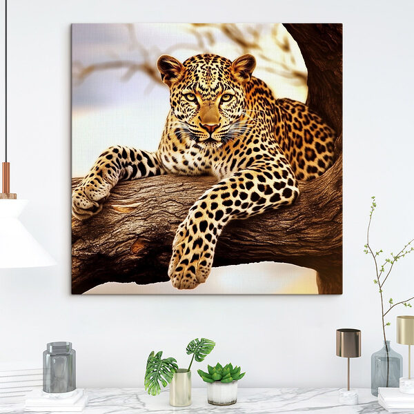 Luipaard liggend op een boomtak Canvas Schilderijen Luipaard liggend op een boomtak
