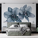 Fotobehang Delicate orchideeën met ochtenddauw