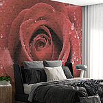 Fotobehang Prachtige roos versierd met druppels