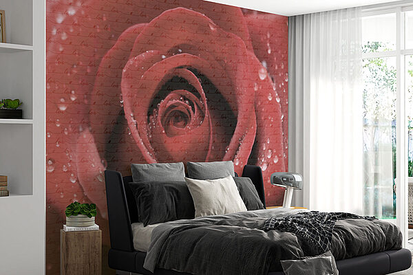Prachtige roos versierd met druppels Fotobehang Prachtige roos versierd met druppels