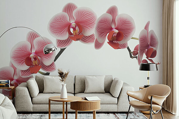 Delicate orchideeën in zachte tinten Fotobehang Delicate orchideeën in zachte tinten