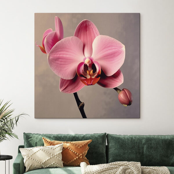 Delicate roze orchidee in bloei Canvas Schilderijen Delicate roze orchidee in bloei