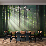 Fotobehang Zonnestralen die door het bos schijnen