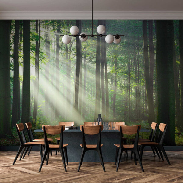 Fotobehang Zonnestralen die door het bos schijnen