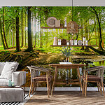 Fotobehang Bos met bomen en zon die door de bomen schijnt