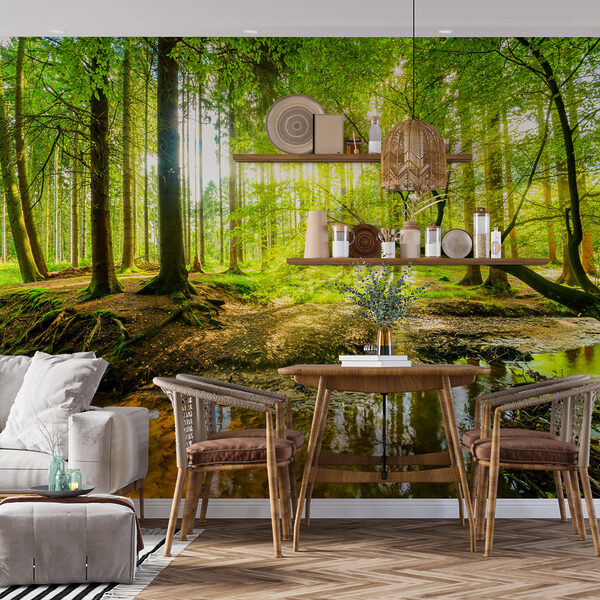 Fotobehang Bos met bomen en zon die door de bomen schijnt