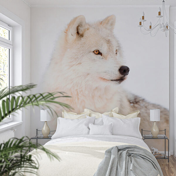 Fotobehang Witte wolf in de sneeuw