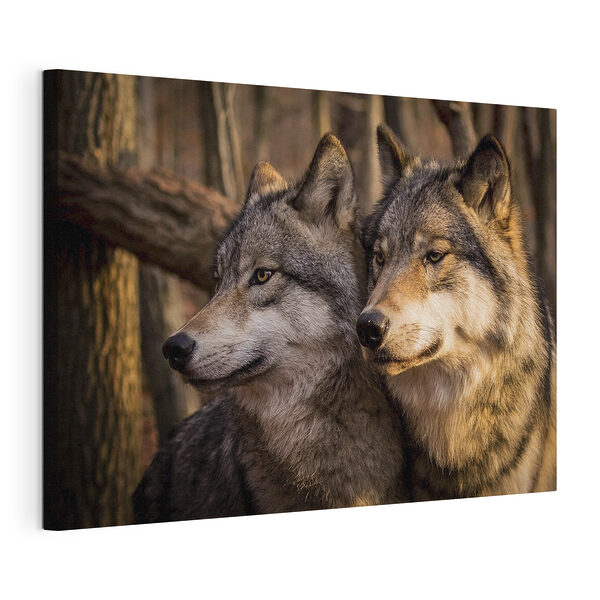 Canvas Schilderijen Wolven staren in de stilte van het bos