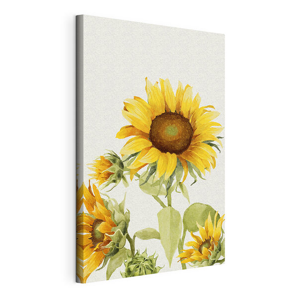 Zonovergoten bloemen fleuren de dag op Canvas Schilderijen Zonovergoten bloemen fleuren de dag op