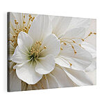 Canvas Schilderijen Elegantie in wit en kralen