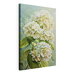 Canvas Schilderijen Crèmewitte bloemen in volle bloei