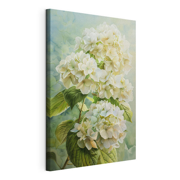 Canvas Schilderijen Crèmewitte bloemen in volle bloei