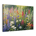 Canvas Schilderijen Veld met kleurrijke bloemen
