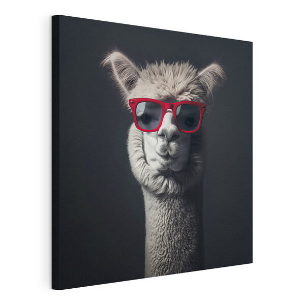 Lama met rode zonnebril Canvas Schilderijen Lama met rode zonnebril
