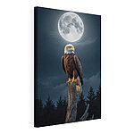 Canvas Schilderijen Zeearend op een paal met volle maan op de achtergrond