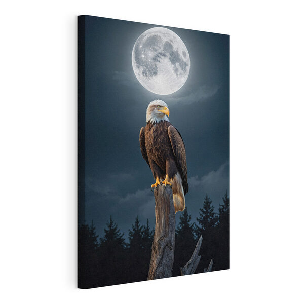 Canvas Schilderijen Zeearend op een paal met volle maan op de achtergrond