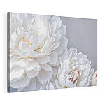 Canvas Schilderijen Witte bloemen in een delicate omhelzing