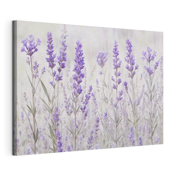 Groep paarse bloemen Canvas Schilderijen Groep paarse bloemen