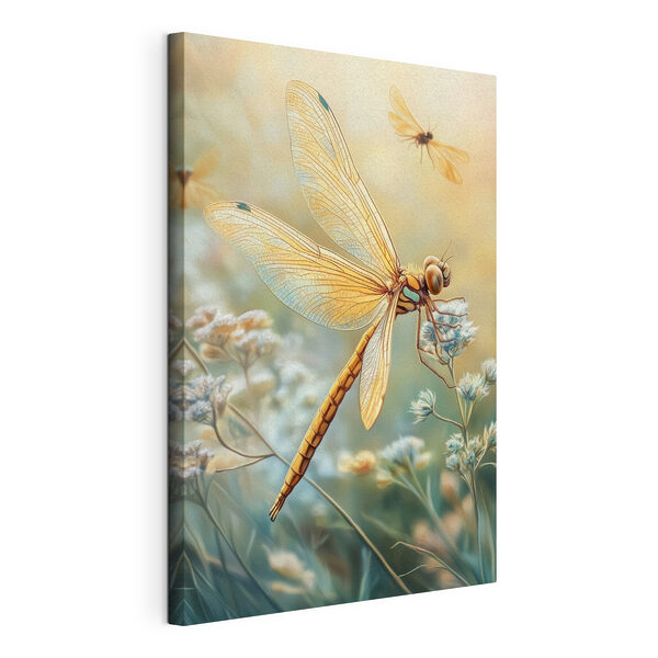 Canvas Schilderijen Libelle op een bloem