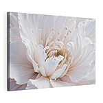 Canvas Schilderijen Delicate bloemblaadjes in zachte witte tinten