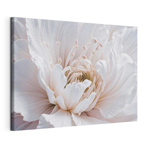 Canvas Schilderijen Delicate bloemblaadjes in zachte witte tinten