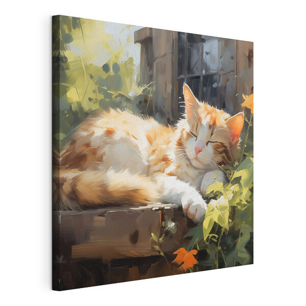 Kat liggend op een richel Canvas Schilderijen Kat liggend op een richel