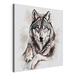 Canvas Schilderijen Wolf ligt naar de camera te kijken