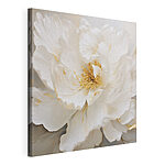 Canvas Schilderijen Delicate bloemblaadjes vangen pure elegantie