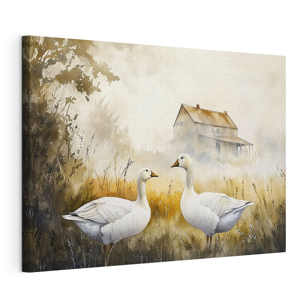 Canvas Schilderijen Aquarel van twee ganzen in een veld
