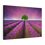Canvas Schilderijen Boom in een lavendelveld