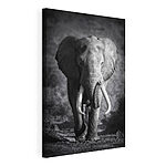 Canvas Schilderijen Een wandelende olifant met slagtanden