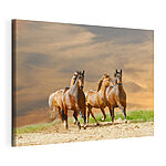 Canvas Schilderijen Paarden galopperen in de zandvlakte