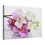 Canvas Schilderijen Fijne orchideeën versierd met druppeltjes